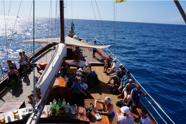 Excursión en Barco 5h, Avistamiento de Cetáceos, Los Gigantes y Comida (Tenerife)