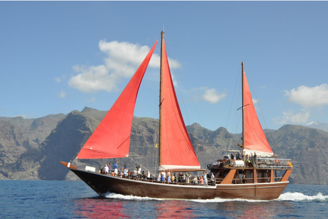 Excursión en Barco 5h, Avistamiento de Cetáceos, Los Gigantes y Comida (Tenerife)