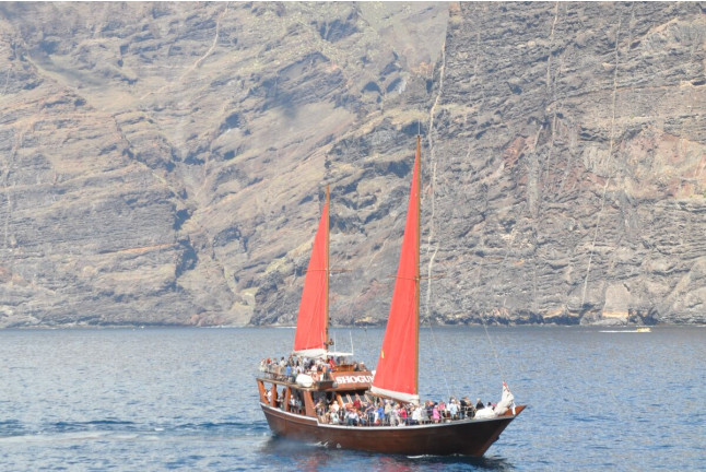 Excursión en Barco 5h, Avistamiento de Cetáceos, Los Gigantes y Comida (Tenerife)