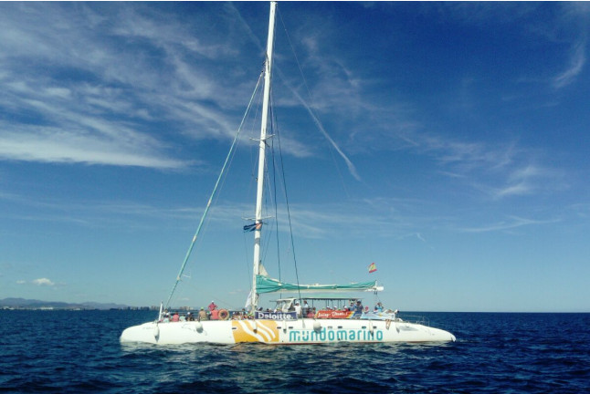 Día en el Mar Valencia: Excursión en Catamarán con Comida (Valencia) 