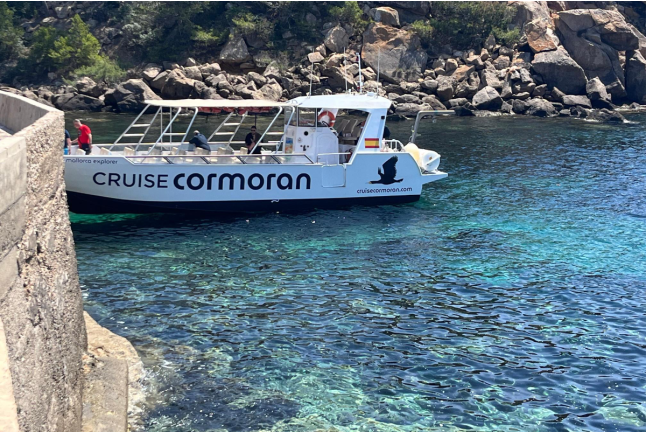 Caves, Cliffs & Coves: Excursión en Lancha a Cuevas, Calas y Acantilados con Baño (Mallorca)