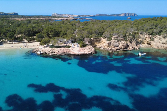 Ibiza Beach Hopper: Excursión en Catamarán a las Playas de Ibiza con Almuerzo, Paddle Surf y Snorkel (Ibiza)