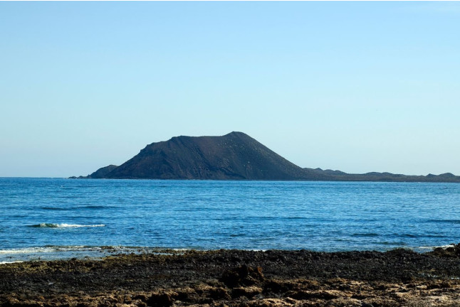 Freebird a Lobos: Excursión en Catamarán con Comida, Bebidas, Stand Up Paddle y Snorkel (Fuerteventura, Las Palmas)