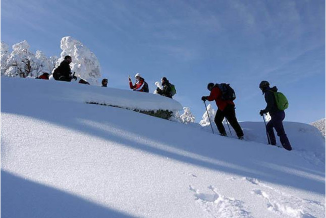 Excursión en Raquetas de Nieve para dos (Madrid)