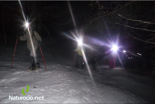 Excursión Nocturna en Raquetas de Nieve (León)