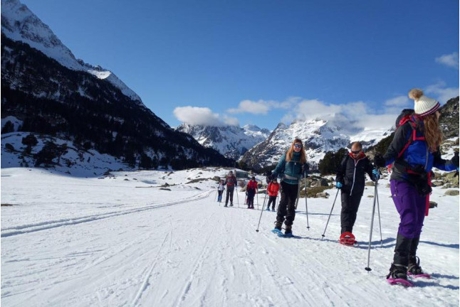 OFERTA: Excursión en Raquetas de Nieve (Madrid)