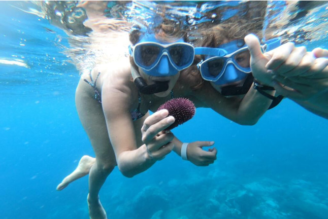 Excursión de Snorkel con Fotos y Vídeos en la Reserva Natural Protegida de La Caleta de Adeje (Tenerife)