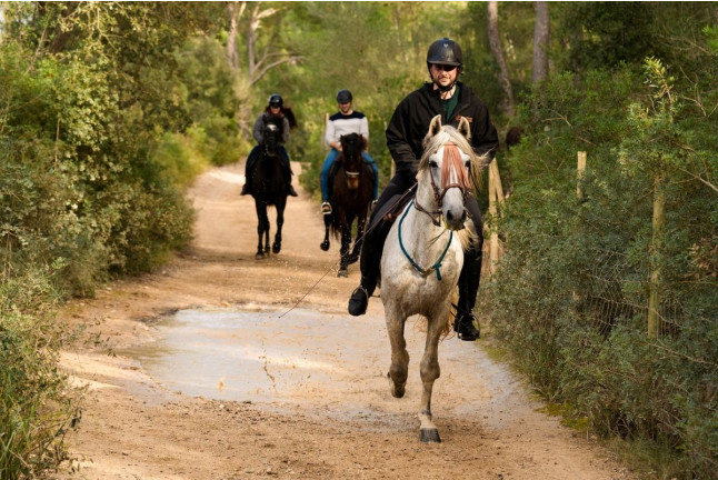 Excursión a Caballo por el Valle de Randa con Fotos y Vídeo (Algaida, Mallorca)