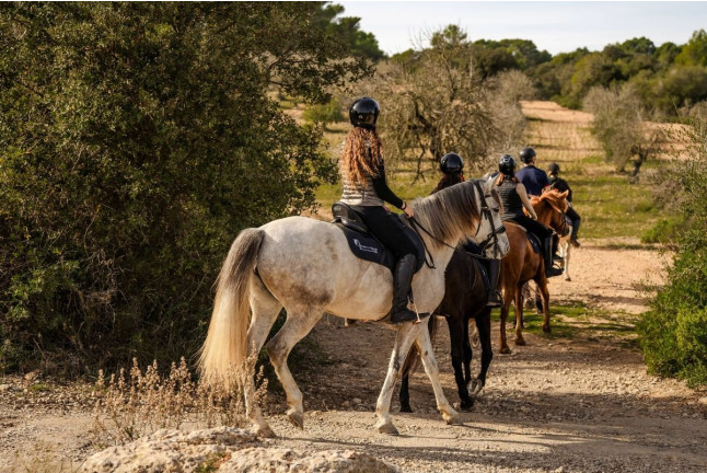 Excursión a Caballo por el Valle de Randa con Fotos y Vídeo (Algaida, Mallorca)