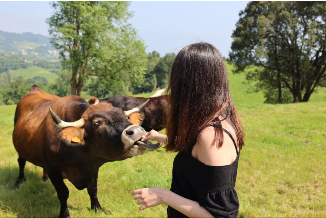 Experiencia Gastronómica en Fundación Okelan: Visita, Formación y Degustación (Zarautz, Guipúzcoa)