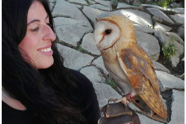 Experiencia con Aves Rapaces Nocturnas (Madrid)