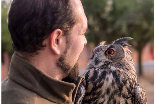 Experiencia con Aves Rapaces Nocturnas (Madrid)