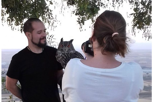 Experiencia con Aves Rapaces Nocturnas (Madrid)