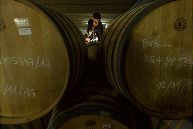 Fin de Semana Romántico: Alojamiento en Bodega y Cata de Vino en BUIL & GINÉ WINE HOTEL 4* (Tarragona)