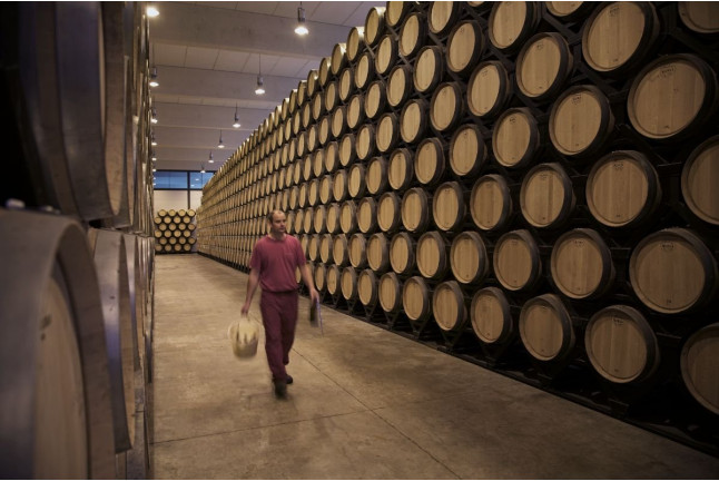 Visita a la Bodega con Cata de Vinos, Tapa de Queso y Almendras para dos en Finca Antigua (Los Hinojosos, Cuenca)
