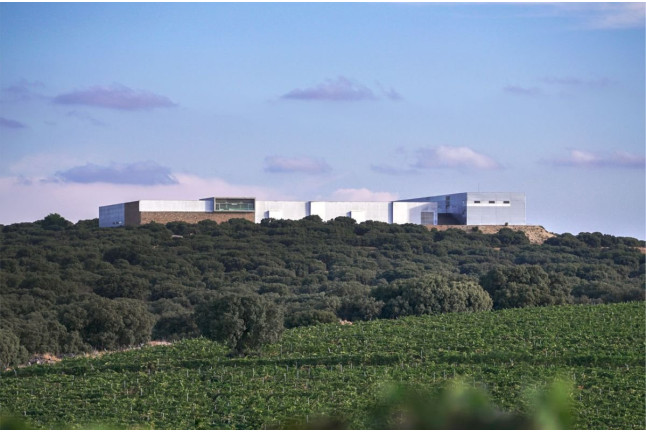 Visita a la Bodega con Cata de Vinos, Tapa de Queso y Almendras para dos en Finca Antigua (Los Hinojosos, Cuenca)