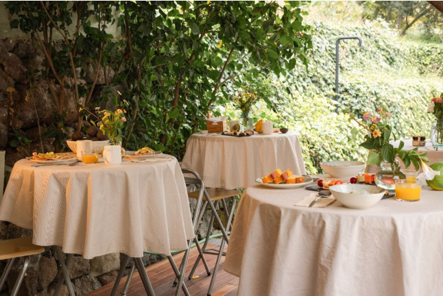 Visita a Finca de Aguacate con Desayuno Canario en Tahodio Avocado Experience (Tahodio, Santa Cruz de Tenerife)