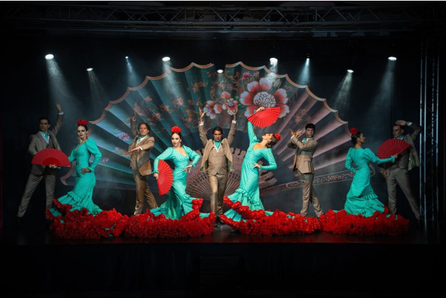 Olé Flamenco Show: Espectáculo Flamenco con Opción de Copa de Vino y Tapa (Tenerife)