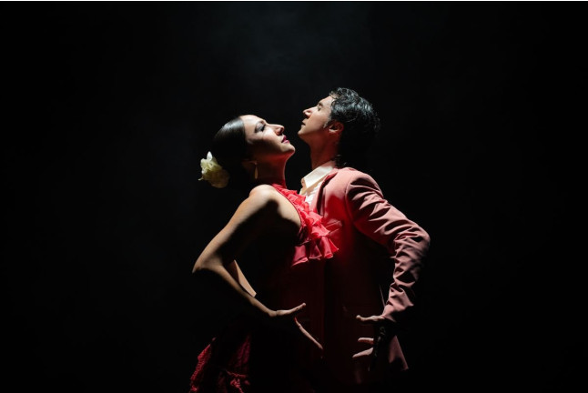 Olé Flamenco Show: Espectáculo Flamenco con Opción de Copa de Vino y Tapa (Tenerife)