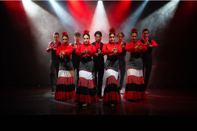 Olé Flamenco Show: Espectáculo Flamenco con Opción de Copa de Vino y Tapa (Tenerife)