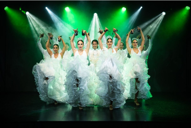 Olé Flamenco Show: Espectáculo Flamenco con Opción de Copa de Vino y Tapa (Tenerife)
