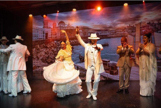 Olé Flamenco Show: Espectáculo Flamenco con Opción de Copa de Vino y Tapa (Tenerife)