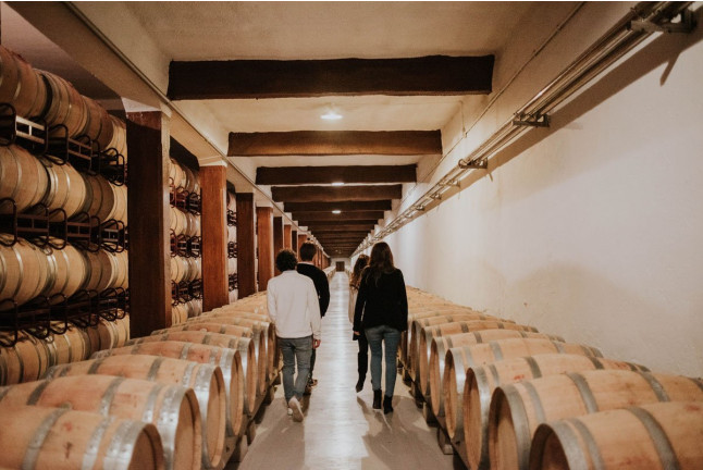 Visita a Bodegas Franco Españolas con Cata Rioja vs Ribera (Logroño, La Rioja)