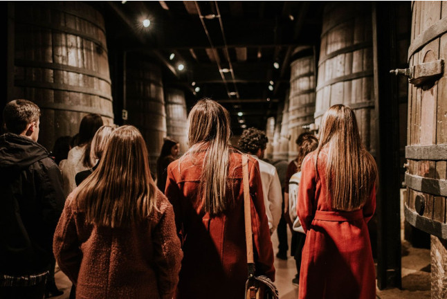 Visita a Bodegas Franco Españolas con Cata Rioja vs Ribera (Logroño, La Rioja)