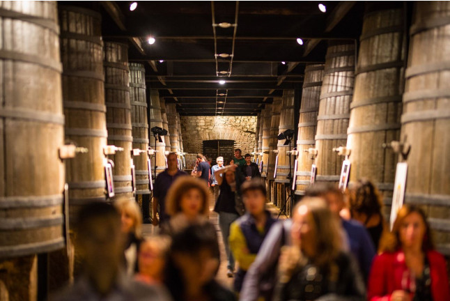 Visita a Bodegas Franco Españolas con Cata Rioja vs Ribera (Logroño, La Rioja)