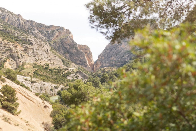 Visita Completa al Caminito del Rey con Guía, Entradas y Bus Lanzadera desde El Chorro (Málaga)