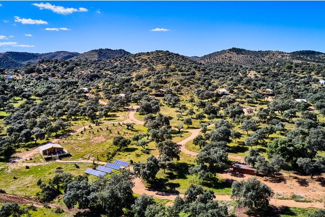 Escapada en Familia de 2 Noches con Desayuno en Junior Suite de Glamping La Dehesa Experiences (Adamuz, Córdoba)