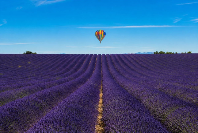 Paseo Privado en Globo sobre Campos de Lavanda para dos (Brihuega, Guadalajara)
