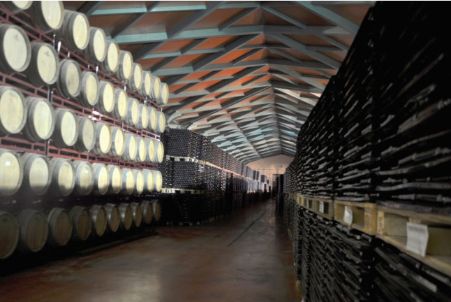 Visita a Bodega Grandes Vinos con Cata de Vinos para dos (Cariñena, Zaragoza)