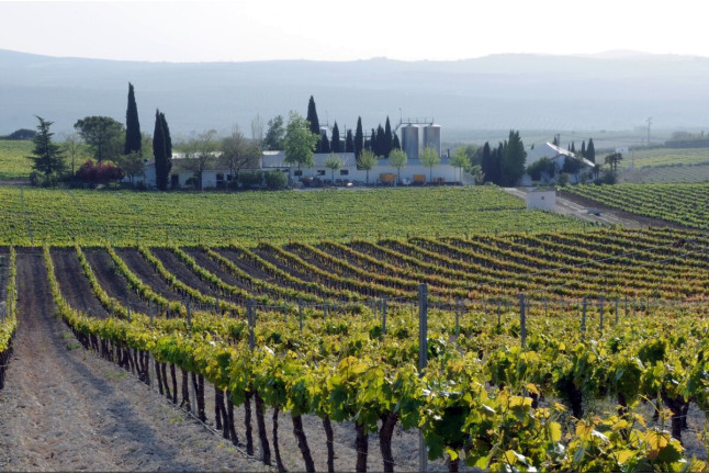 Escapada en Hospedería Luis de Góngora con Visita a Bodegas Pérez Barquero y Cata de Vinos para dos (Córdoba)