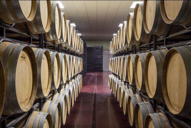 Escapada Rural con Desayuno en Hostal Los Oteros y Visita a Bodegas Gordonzello con Cata de Vinos y Aperitivo para dos (León)