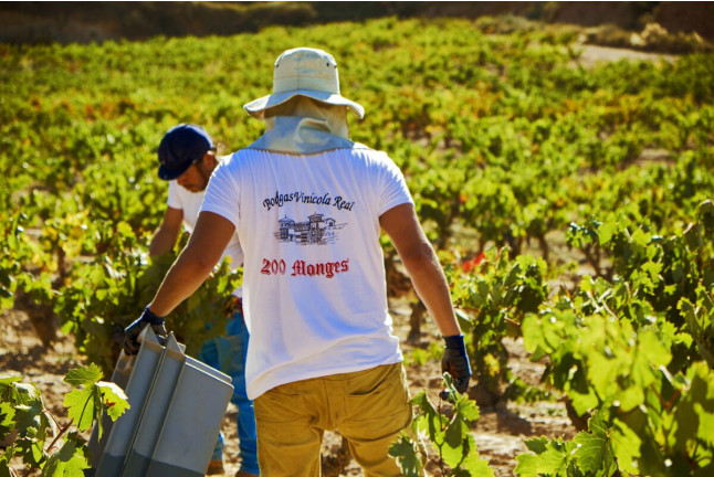 Escapada con Desayuno en La Casa del Cofrade y Visita a Bodegas Vinícola Real con Cata de Vinos (Albelda de Iregua, La Rioja)