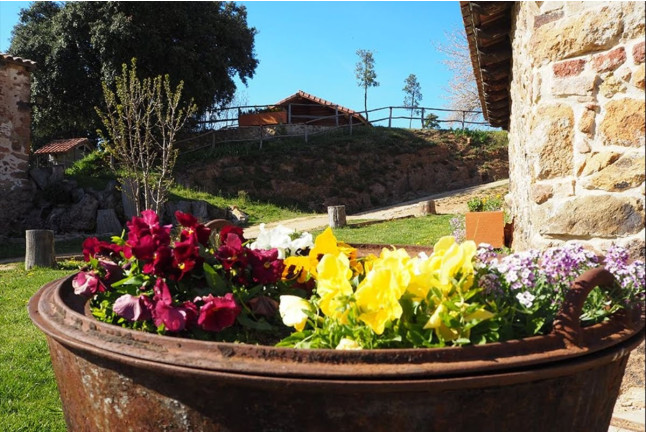Escapada con Spa Privado en Mas Cal Sastre: Habitación Fredulic (Sant Hilari Sacalm, Girona)