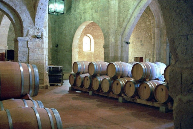 Escapada con Visita a Bodega en Castillo de Curiel 4* (Valladolid)