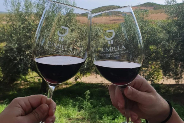Escapada con Encanto y Ruta del Vino en Hotel Enoturismo Mainetes (Albacete)