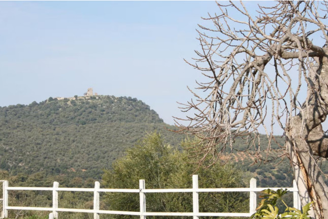 Escapada Rural en Hotel Del Carmen (Prado Del Rey, Cádiz)