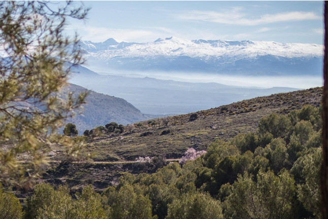Escapada de 2 Noches con Desayuno en Hotel Rural La Posada de la Colomera (Granada)
