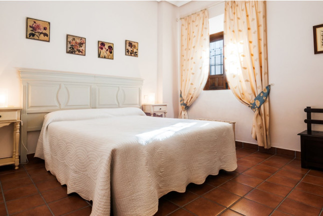 Escapada de 2 Noches con Cena en Hotel Palacio las Manillas 3* (Sabiote, Jaén)