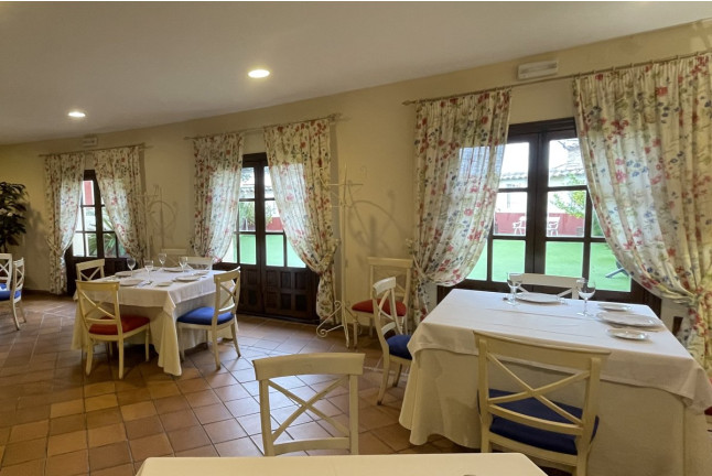 Escapada de 2 Noches con Cena en Hotel Palacio las Manillas 3* (Sabiote, Jaén)