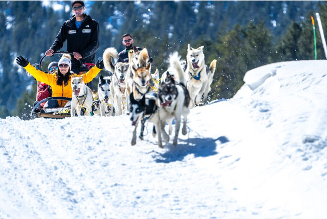 Escapada en Hotel Xalet Besolí 3* con Paseo en Mushing (Andorra)