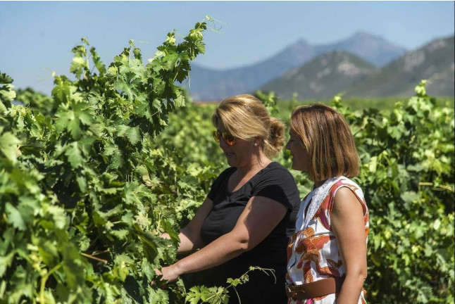 Escapada en Hotel Rural Soterraña y Visita a Bodegas Ruiz Torres, Cata de 3 Vinos y 2 Botellas de Vino para dos (Cáceres) 