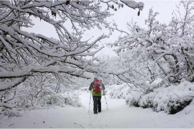 Escapada en Hotel Rural con Excursión en Raquetas de Nieve (Sierra de Gredos, Ávila)