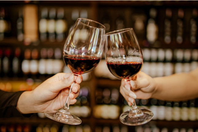 Escapada con Spa en Hotel Spa Tudanca Aranda 4* y Visita a Bodegas Viña Arnáiz con Cata de Vinos (Burgos)