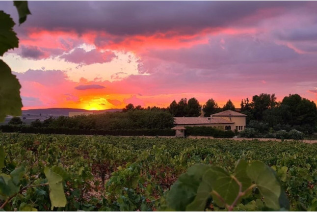Escapada con Menú Degustación en Hotel Spa Enoturismo Mainetes (Albacete)