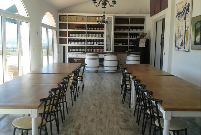 Escapada con Spa en Hotel 4* y Visita a Bodegas con Cata para dos (Málaga)