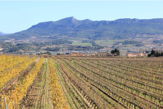 Escapada en el Iberik Rocallaura Balneari 4* con Spa, Cena y Visita al Celler Mas Foraster (Lleida y Tarragona)